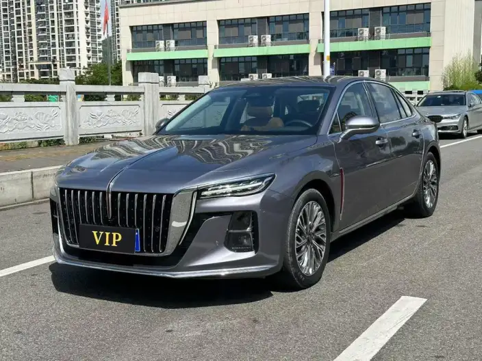 Hongqi H5 2024 Model 2.0T Automatic Flag Enjoy Edition – фото 10