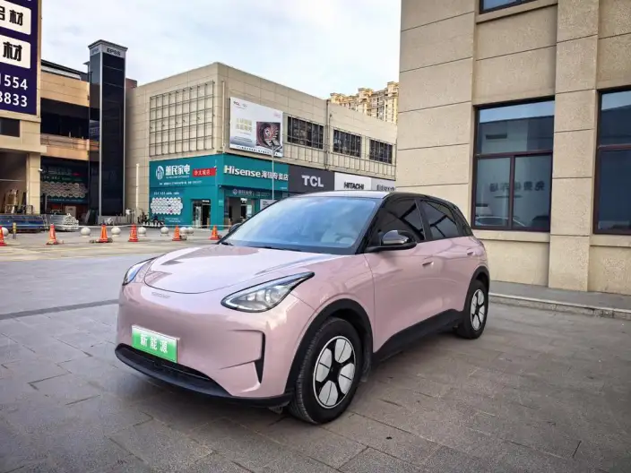 Geely Galaxy StarWish 2025 Model 310km Youth Edition