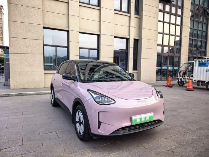 Geely Galaxy StarWish 2025 Model 310km Youth Edition