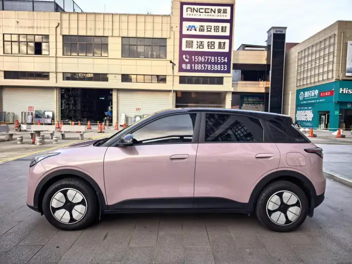 Geely Galaxy StarWish 2025 Model 310km Youth Edition