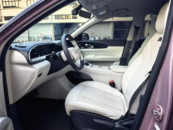Geely Galaxy StarWish 2025 Model 310km Youth Edition – фото 10
