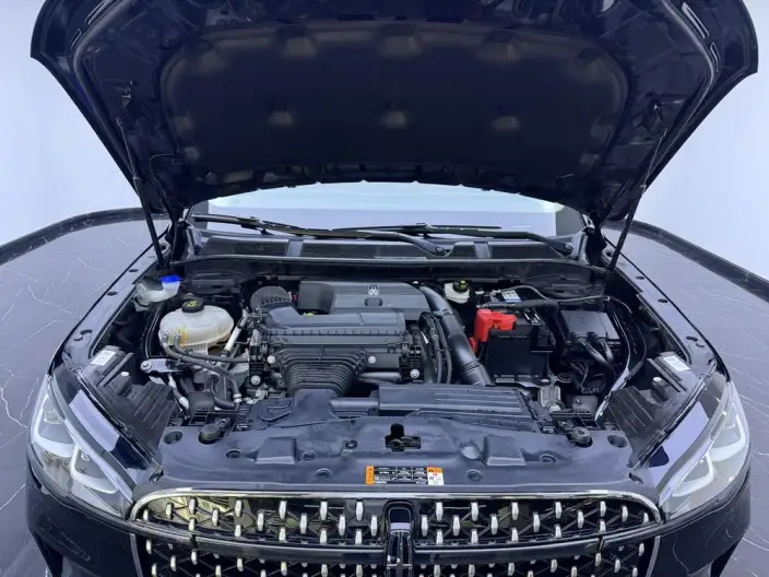Lincoln Corsair 2023 Model 2.0T 2WD Exclusive Edition – фото 8