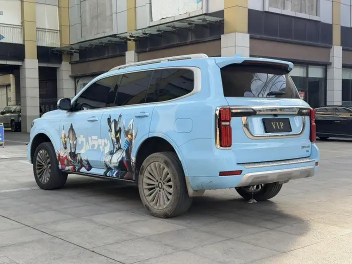 Tank 500 2022 Model Customized Edition 5 seat