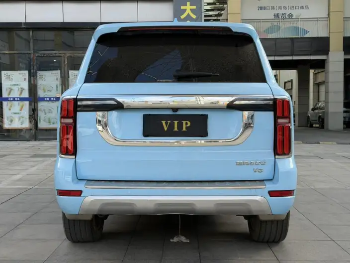 Tank 500 2022 Model Customized Edition 5 seat – фото 5
