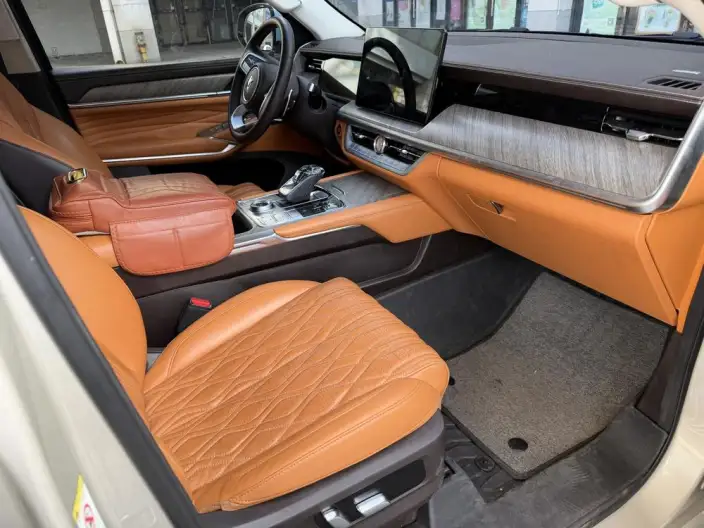Tank 500 2022 Model Customized Edition 5 seat – фото 8