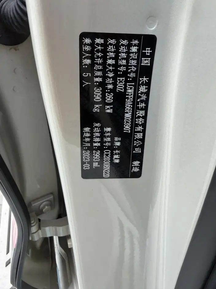 Tank 500 2022 Model Customized Edition 5 seat – фото 9