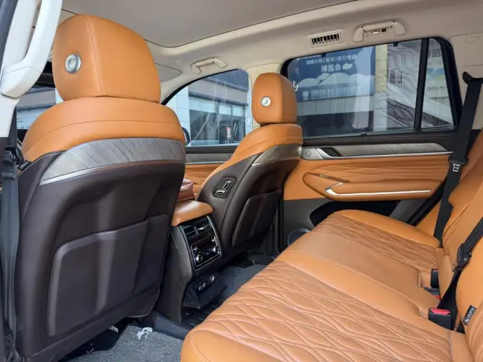Tank 500 2022 Model Customized Edition 5 seat – фото 10