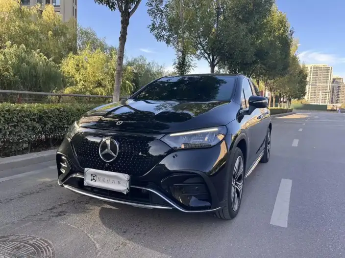 Mercedes-Benz EQE SUV 2024 Model EQE SUV 500 4MATIC Deluxe Edition – фото 1