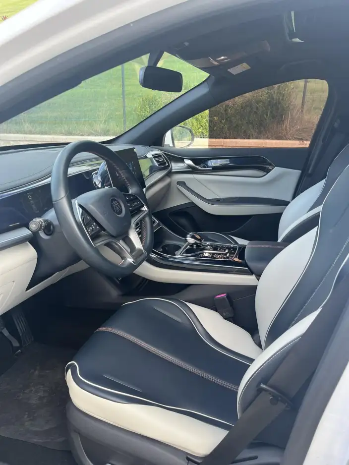 Qin Plus EV 2021 Model 500KM Luxury Model – фото 9