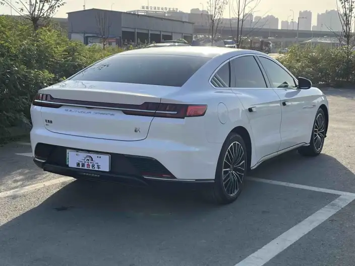 BYD Han EV 2020 Model Ultra-long Endurance Luxury Model – фото 6
