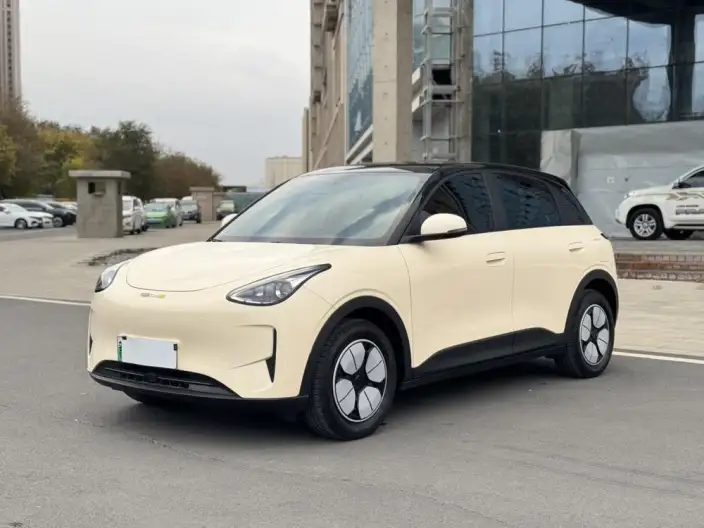 Geely Galaxy StarWish 2025 Model 310km Youth Edition
