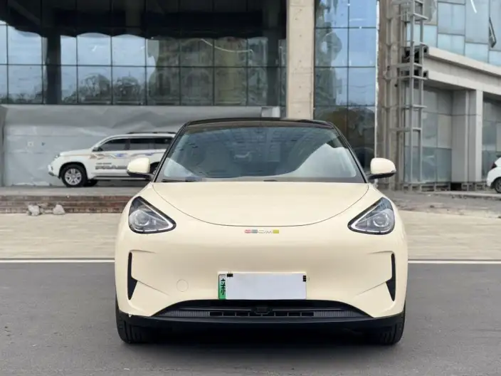 Geely Galaxy StarWish 2025 Model 310km Youth Edition
