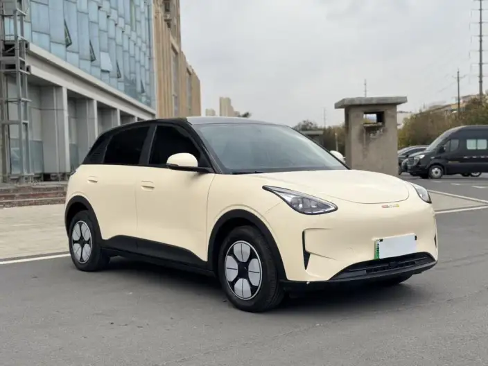 Geely Galaxy StarWish 2025 Model 310km Youth Edition