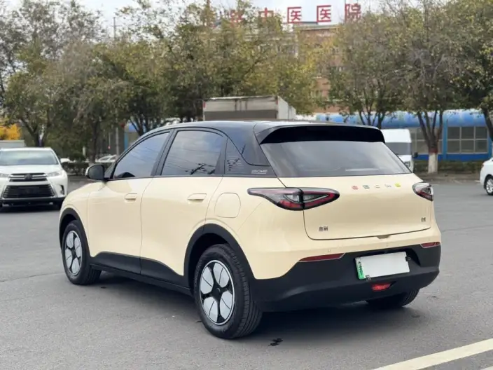Geely Galaxy StarWish 2025 Model 310km Youth Edition