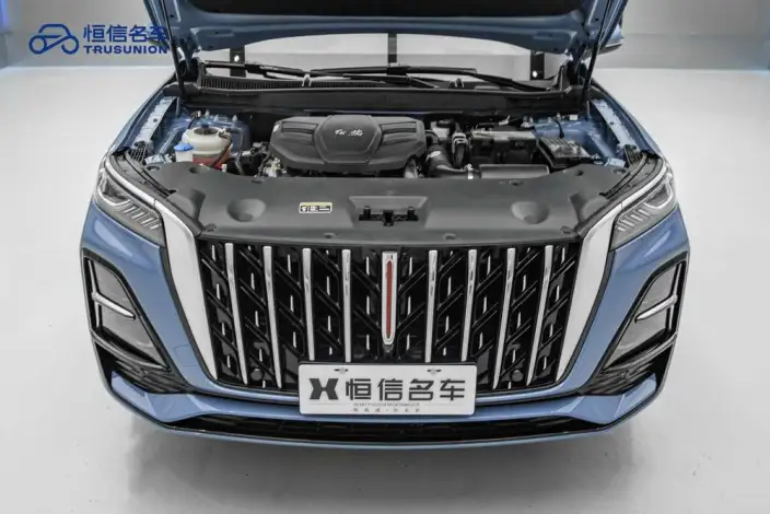 Hongqi HS5 2023 Model 2.0T 4WD Flag Ling Pro Edition – фото 9