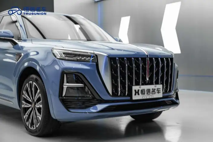 Hongqi HS5 2023 Model 2.0T 4WD Flag Ling Pro Edition – фото 10