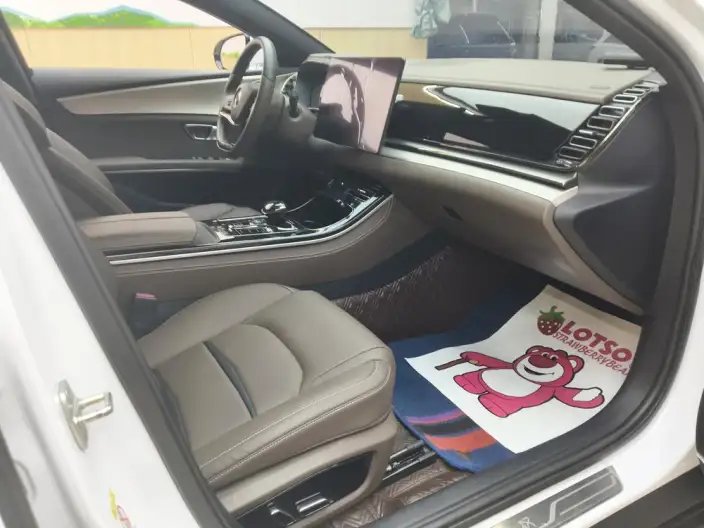 BYD Han EV 2021 Model Standard battery life version Luxury Model – фото 8