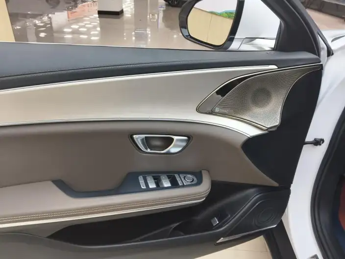 BYD Han EV 2021 Model Standard battery life version Luxury Model – фото 9