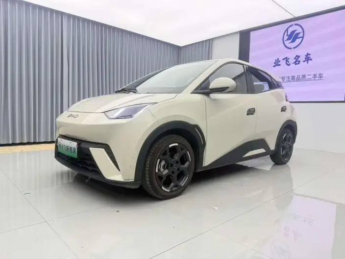 BYD Seagull 2025 Model 405KM Feixiang Edition – фото 1