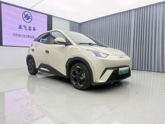 BYD Seagull 2025 Model 405KM Feixiang Edition – фото 3