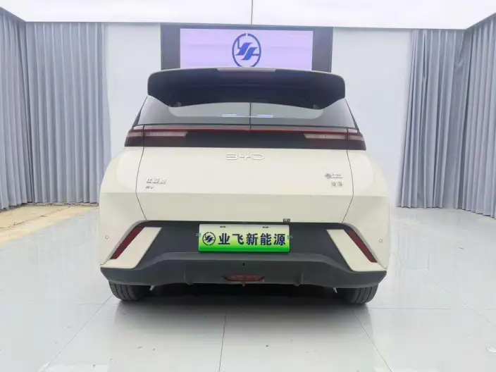 BYD Seagull 2025 Model 405KM Feixiang Edition – фото 5
