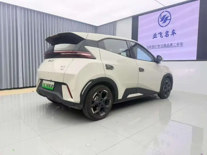 BYD Seagull 2025 Model 405KM Feixiang Edition – фото 6