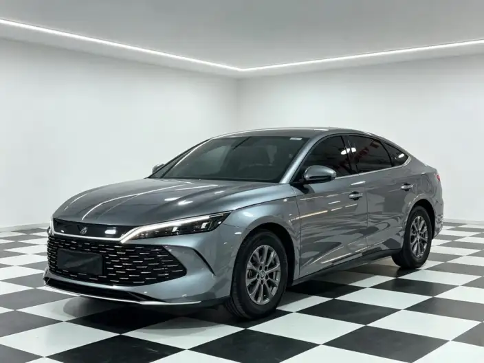 QinL DM 2024 Model DM-i 80KM Leading Model