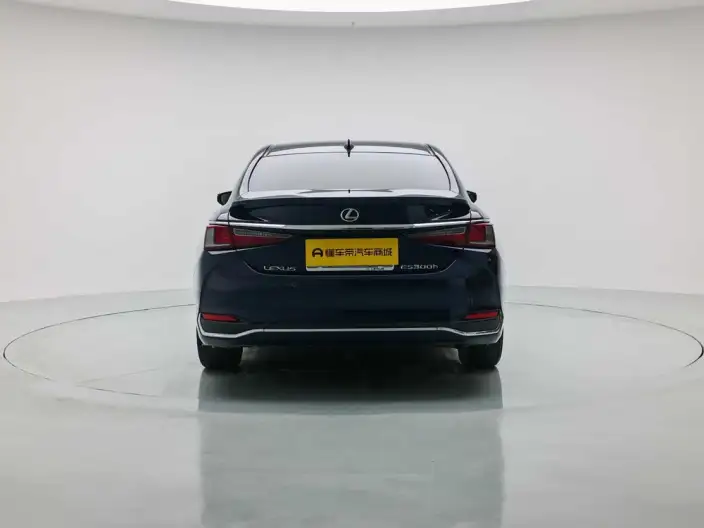 Lexus ES 2022 Model 200 Deluxe Edition – фото 6