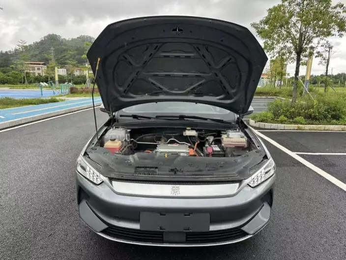 Qin Plus EV 2021 Model 400KM Lingchang Edition – фото 9