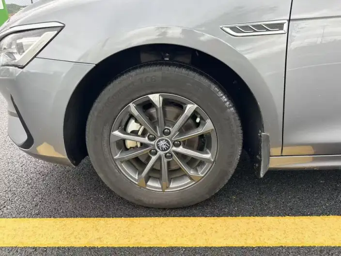 Qin Plus EV 2021 Model 400KM Lingchang Edition – фото 10