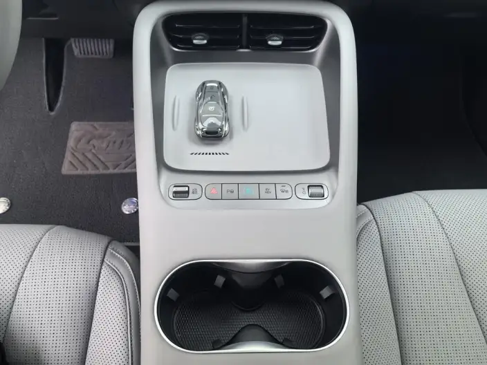 Sea Lion 06DM 2025 Model DM-i 205KM Pilot Pro Edition – фото 10