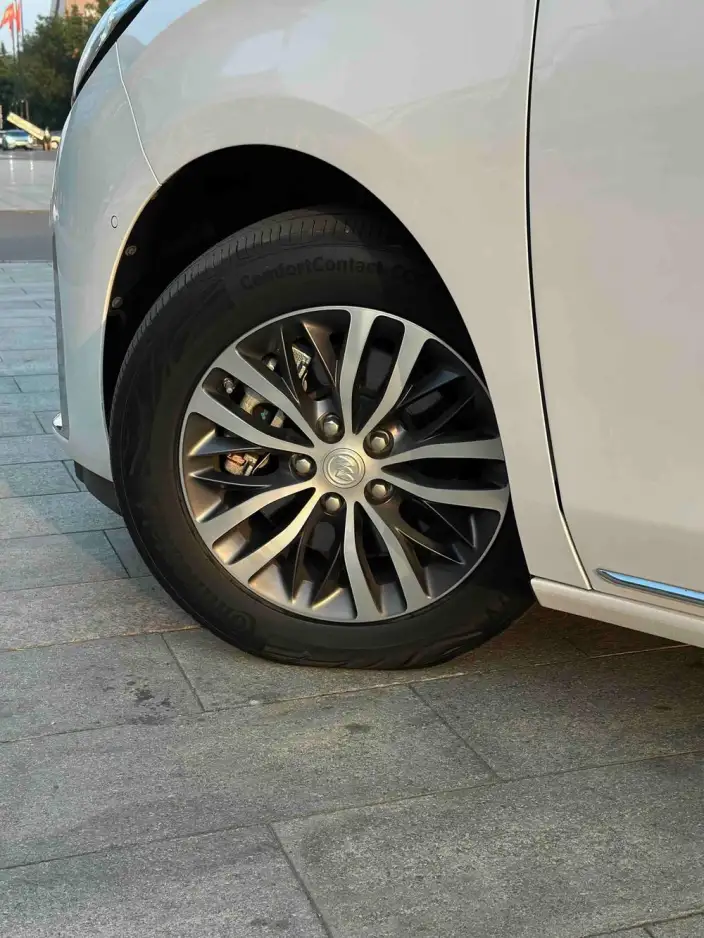 Buick GL8 2023 Model ES Luzun 2.0T Exclusive Model – фото 7