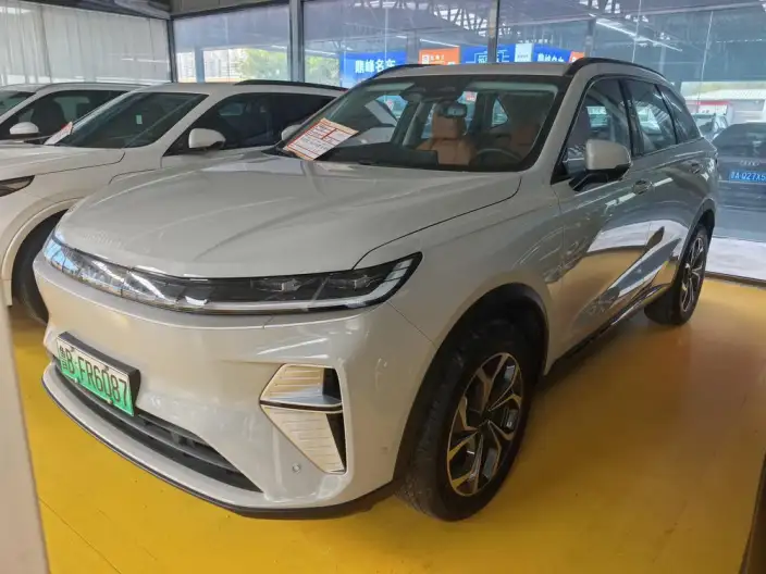 Haval Xiaolong MAX 2025 Model 1.5L Hi4 165 Plus Long Battery Life Pro Edition – фото 10