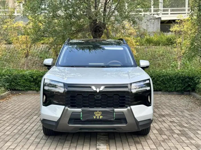 Xingguang 560 PHEV 2026 Model 125km Luxury Model