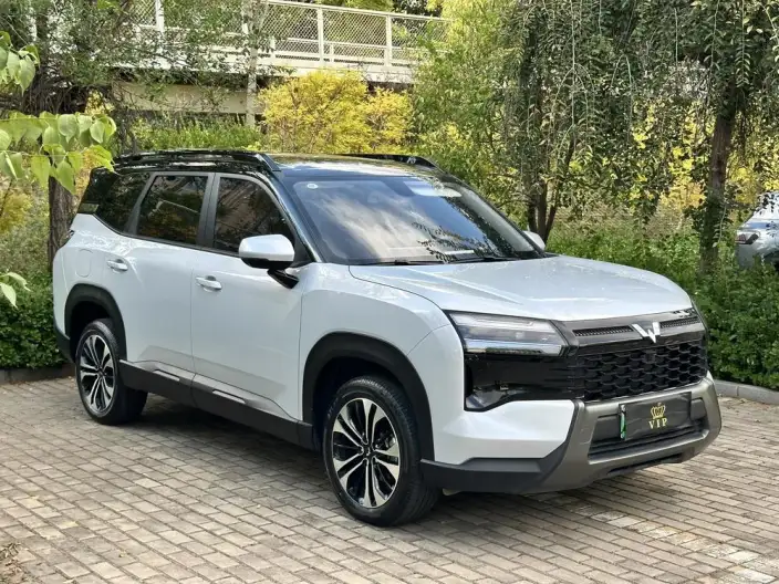 Xingguang 560 PHEV 2026 Model 125km Luxury Model