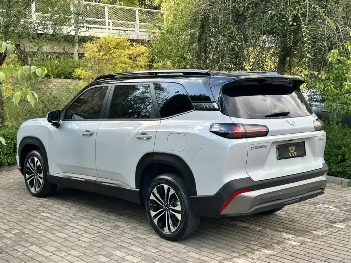 Xingguang 560 PHEV 2026 Model 125km Luxury Model
