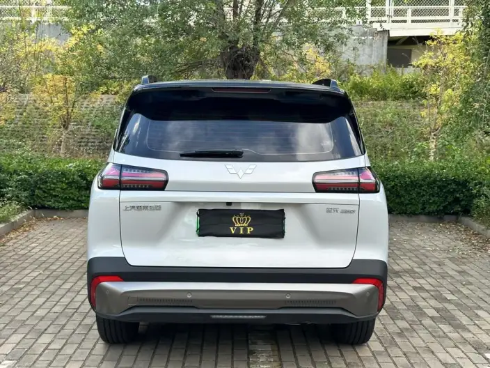 Xingguang 560 PHEV 2026 Model 125km Luxury Model – фото 5