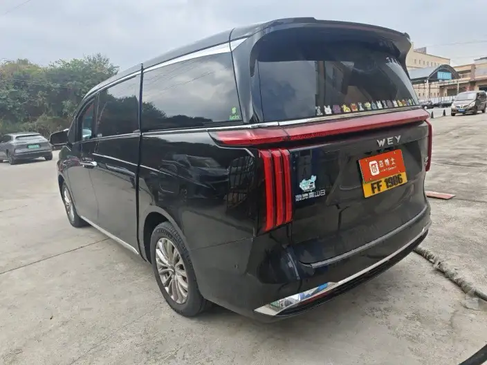 Wey Gaoshan P HEV 2025 Model 4WD Wey Gaoshan 8
