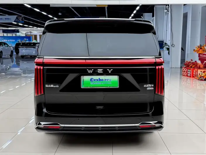 Wey Gaoshan P HEV 2025 Model 4WD Wey Gaoshan 8 – фото 5