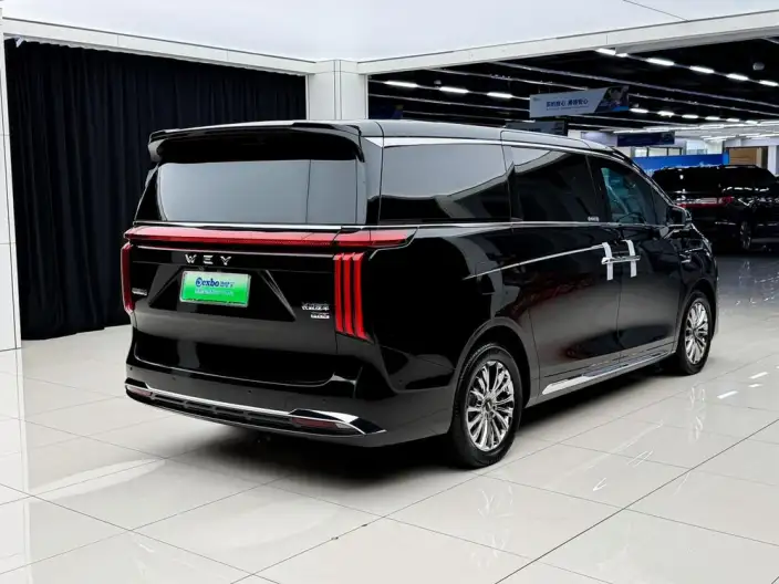 Wey Gaoshan P HEV 2025 Model 4WD Wey Gaoshan 8 – фото 6