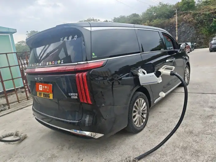 Wey Gaoshan P HEV 2025 Model 4WD Wey Gaoshan 8 – фото 8
