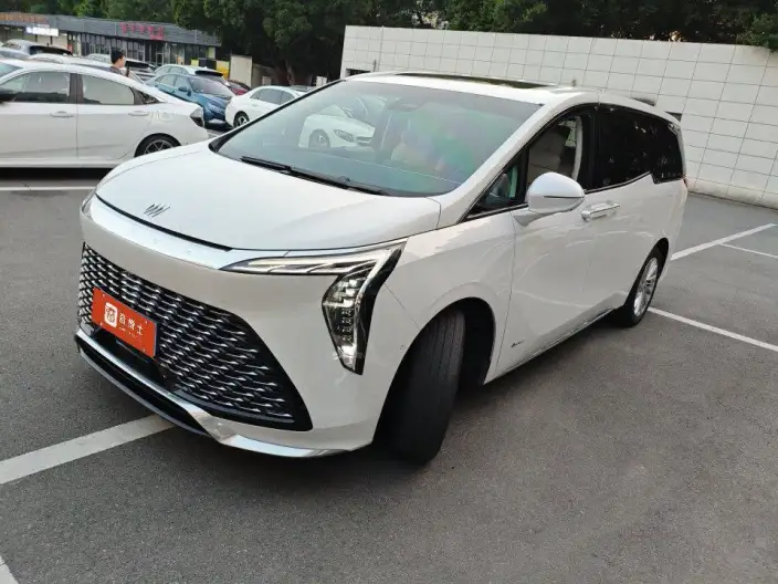Century 2025 Model 2.0T VII seat Yunshi Edition