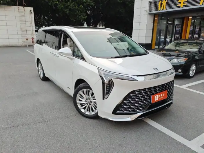 Century 2025 Model 2.0T VII seat Yunshi Edition