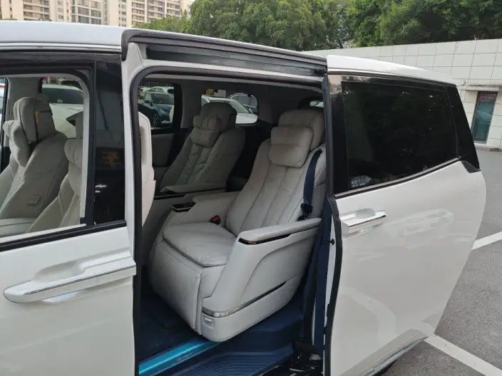 Century 2025 Model 2.0T VII seat Yunshi Edition – фото 9