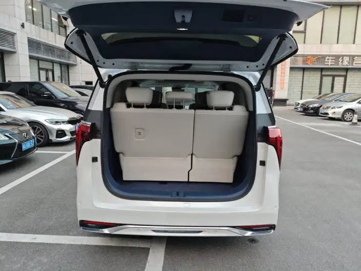 Century 2025 Model 2.0T VII seat Yunshi Edition – фото 10