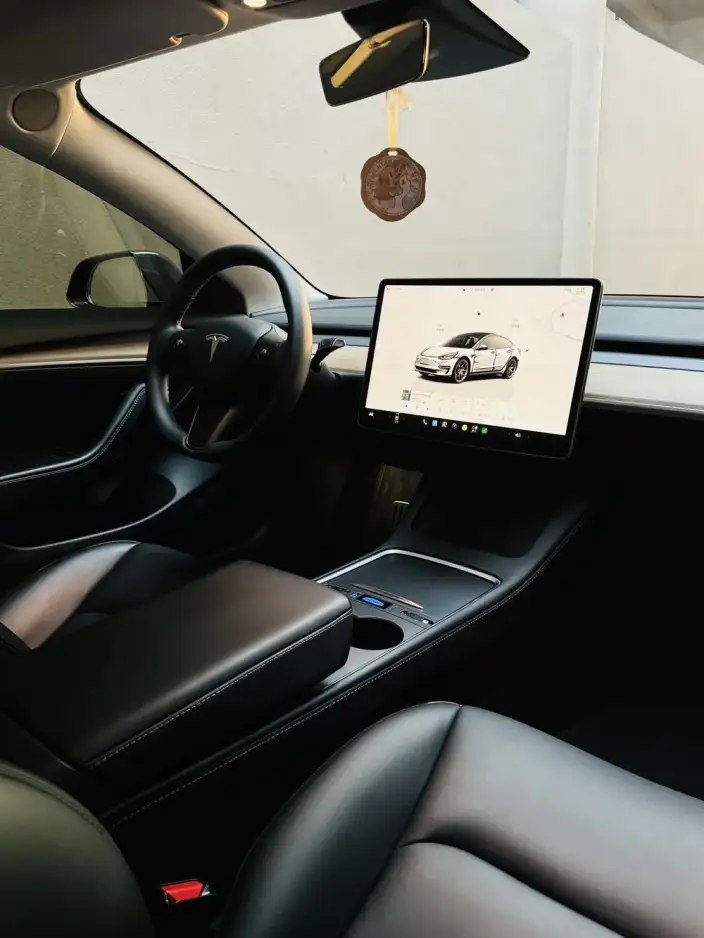 Model 3 2022 Model Performance High performance All-wheel drive version – фото 7