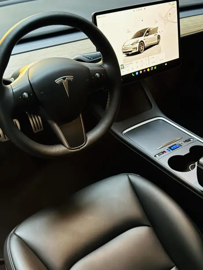 Model 3 2022 Model Performance High performance All-wheel drive version – фото 8