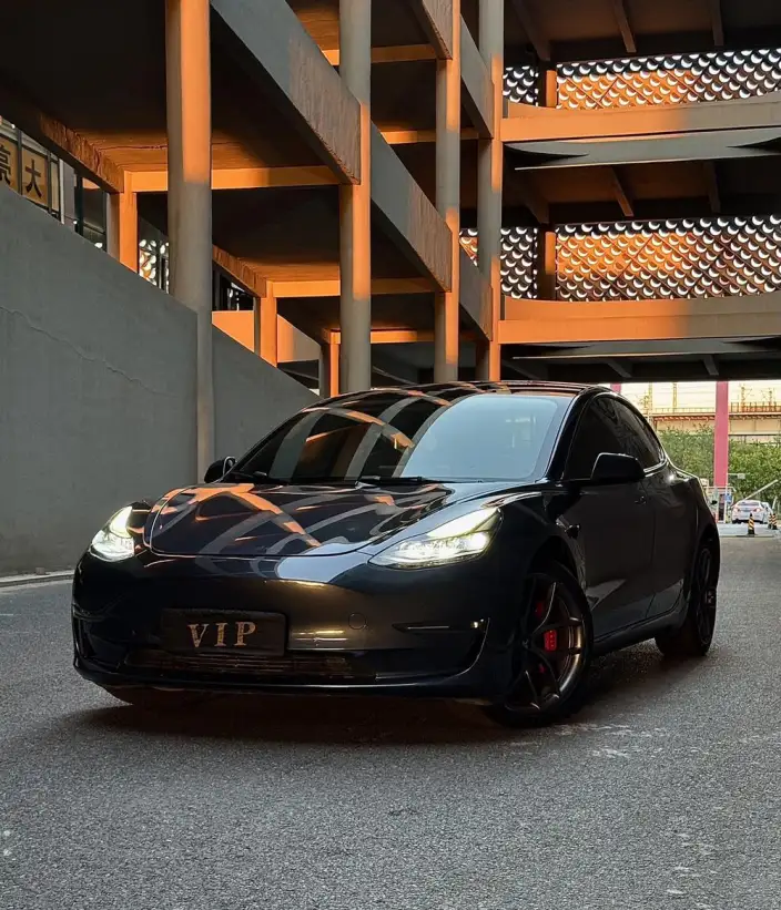 Model 3 2022 Model Performance High performance All-wheel drive version – фото 10
