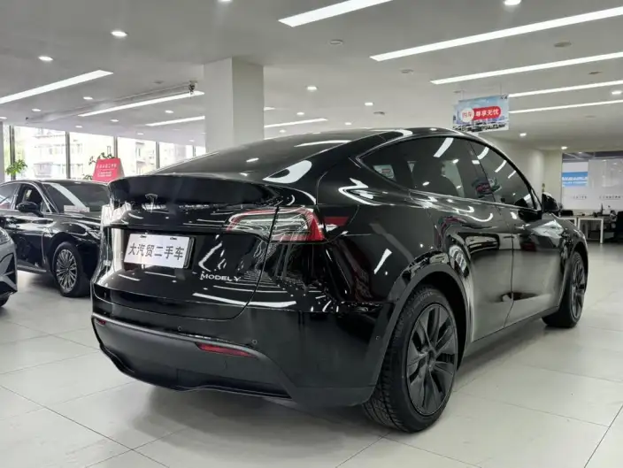 Model Y 2023 Model Rear-wheel drive version – фото 5