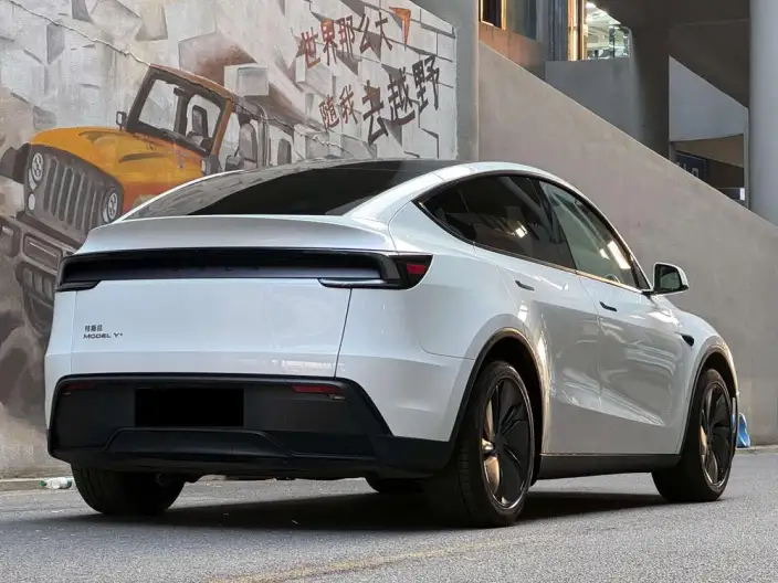 Model Y 2025 Model Facelift Long Battery Life Pro All-wheel drive version – фото 5